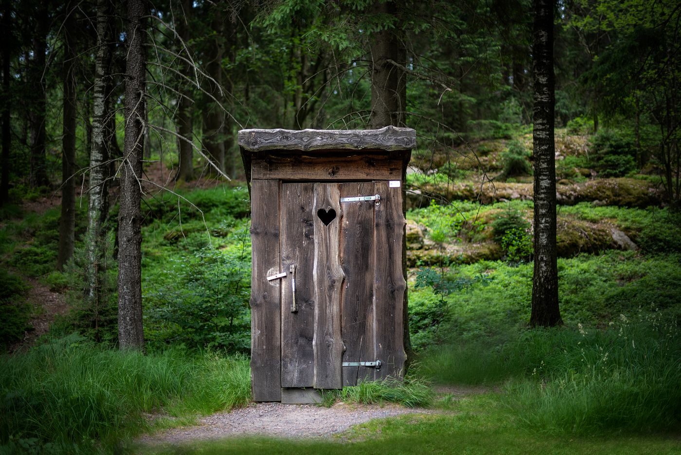 Holz-Toilettenhäuschen im Wald